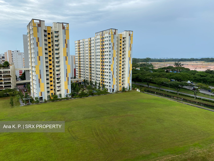 Jurong West Street 42 thumbnail photo